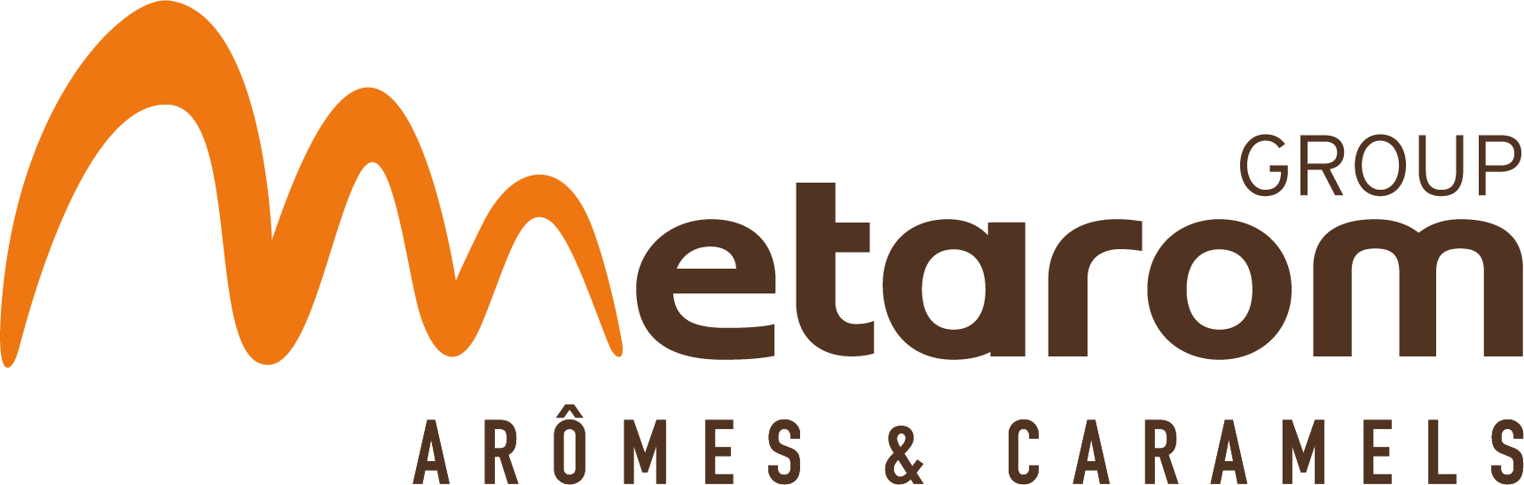 Logo de Metarom